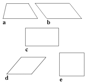 Trapes, parallellogram, rombe, kvadrat og rektangel.